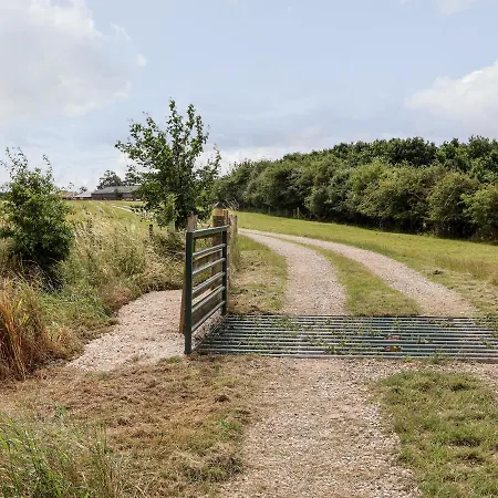 Penny